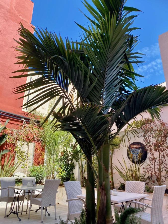 Xapala Hotell